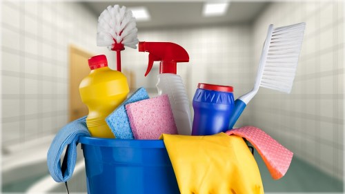 Professional pet stain and odour removal service in a Battersea living room