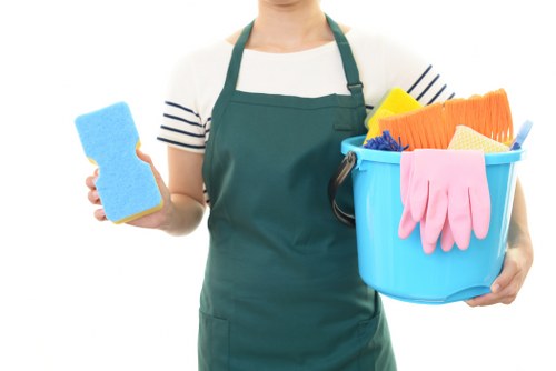 Accessible carpet cleaning Battersea website opening statement with inclusive design focus