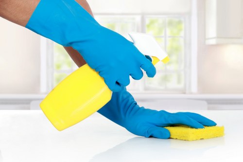 Professional carpet care and stain removal in Battersea