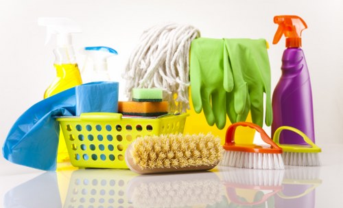 Professional deep cleaning service for Battersea homes and flats