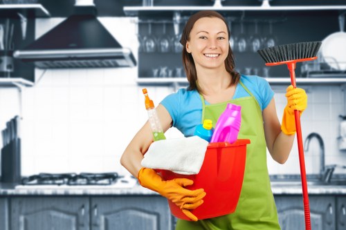 Professional window cleaning for Battersea homes and local properties