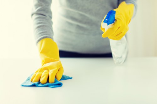 Deep fabric cleaning for chairs in a Battersea property