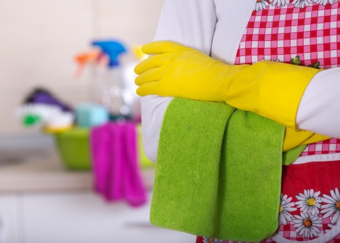 Checklist and cleaning tools used for a Battersea one-off clean