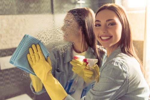 Professional gutter inspection and cleaning in Battersea