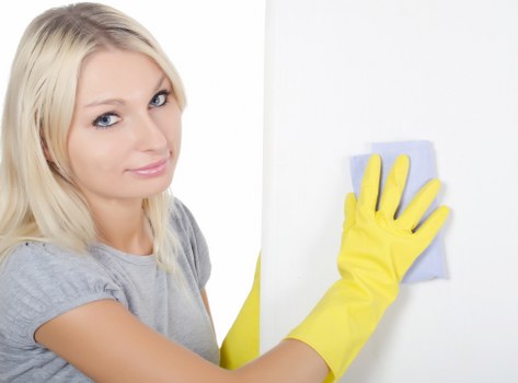 Step-by-step pet stain cleaning process for a Battersea flat
