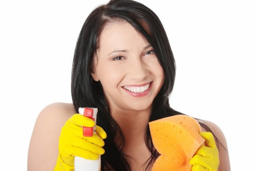 Deep mattress cleaning for a Battersea flat or apartment