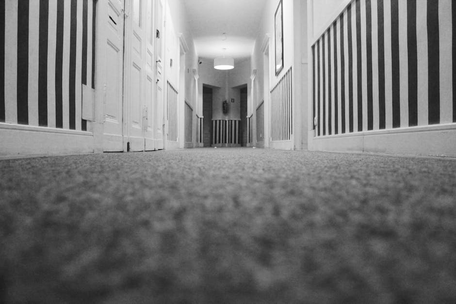 Close-up view of a modern vacuum cleaner with a transparent dust container filled with dust and debris, positioned on a light pink carpeted floor in a residential room. The vacuum has a black and red 